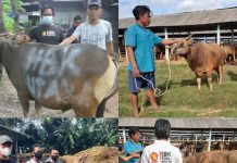 Keluarga Besar HBK Peduli dapat Sembako dan hewan qurban dari HBK