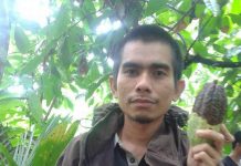 ASN wajib beli beras TPP, Pengamat: Teknis pengadaan diubah langsung ke Gapoktan