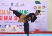 Jabar kuasai separuh medali dari 10 nomor pertandingan Pencak Silat Nusantara