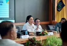 NTB sampaikan komitmen jadi penyangga pangan nasional dihadapan Komisi IV DPR RI