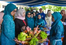 Wagub Dinda imbau masyarakat agar biasakan makan ikan