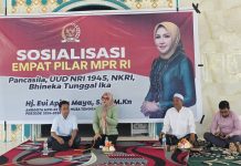 Sosialisasi empat pilar kebangsaan, Evi Apita Maya tekankan peran santri dalam negara