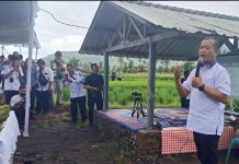 Panen raya simbol kebangkitan Pertanian Indonesia