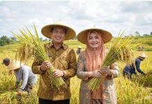 NTB Optimistis Perkuat Swasembada Pangan 2026, Produksi Padi 2025 Naik 16,85 Persen